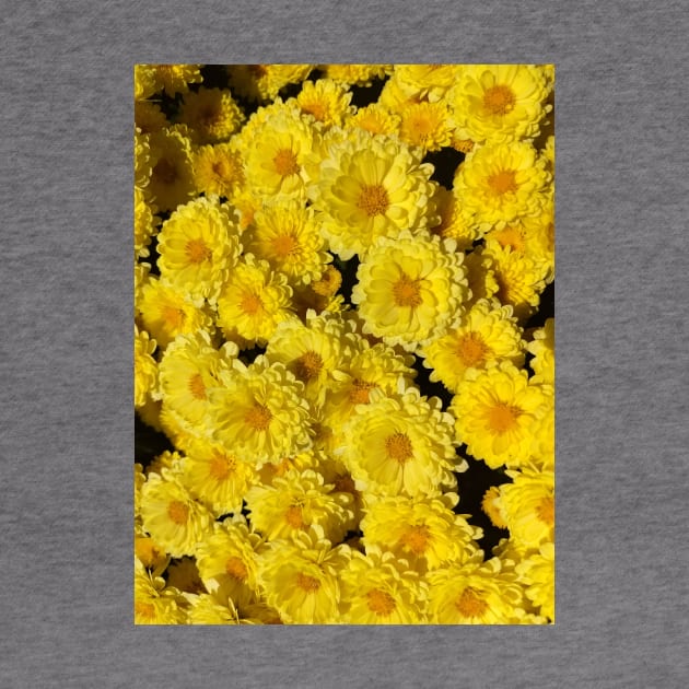 Mums yellow flowers Mother's day by robrush47